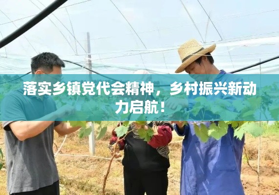 落实乡镇党代会精神，乡村振兴新动力启航！