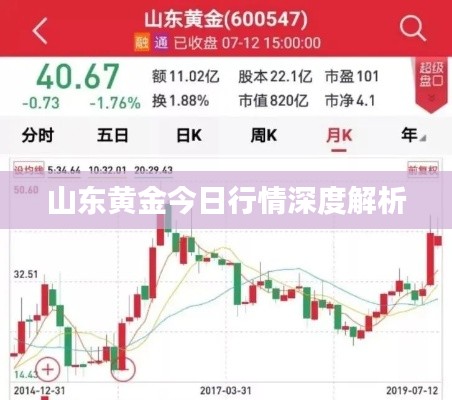 山东黄金今日行情深度解析