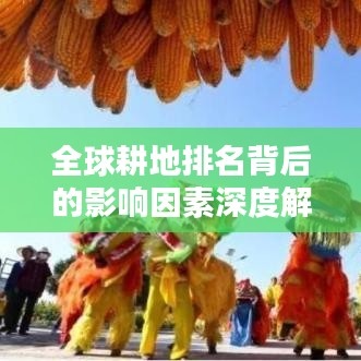 全球耕地排名背后的影响因素深度解析