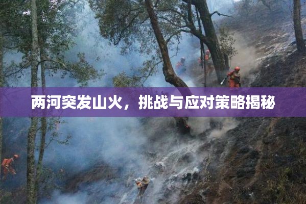 凤凰于飞 第2页