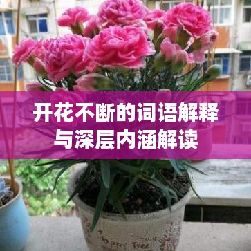 开花不断的词语解释与深层内涵解读
