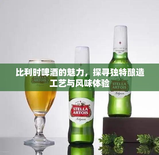 比利时啤酒的魅力，探寻独特酿造工艺与风味体验