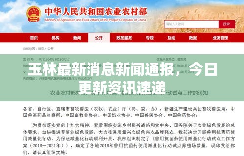 玉林最新消息新闻通报，今日更新资讯速递