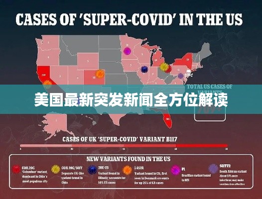 美国最新突发新闻全方位解读