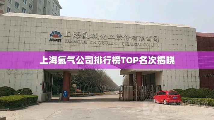 上海氨气公司排行榜TOP名次揭晓
