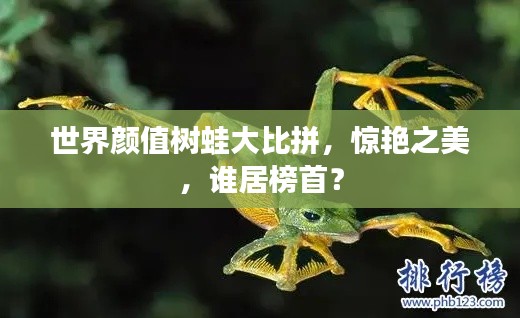 世界颜值树蛙大比拼，惊艳之美，谁居榜首？
