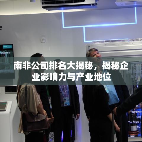 南非公司排名大揭秘，揭秘企业影响力与产业地位