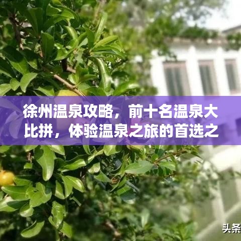 徐州温泉攻略，前十名温泉大比拼，体验温泉之旅的首选之地