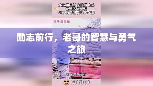 励志前行，老哥的智慧与勇气之旅