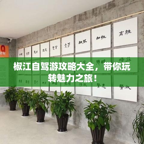 椒江自驾游攻略大全，带你玩转魅力之旅！