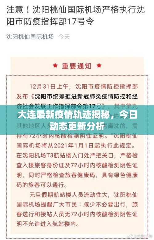 大连最新疫情轨迹揭秘，今日动态更新分析