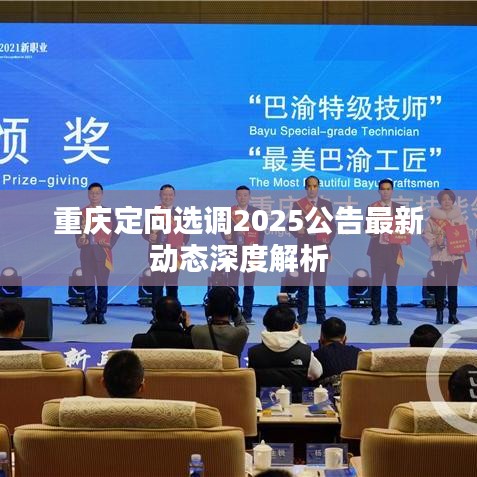 重庆定向选调2025公告最新动态深度解析