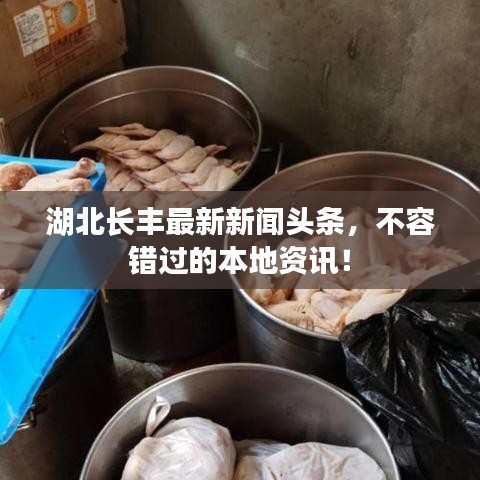 湖北长丰最新新闻头条，不容错过的本地资讯！