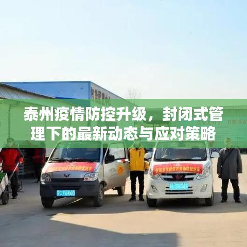 泰州疫情防控升级，封闭式管理下的最新动态与应对策略