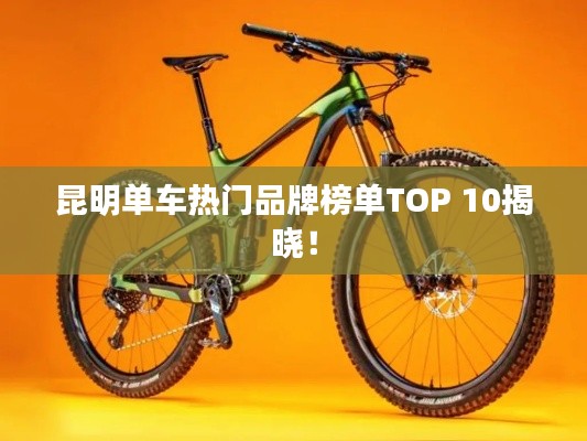 昆明单车热门品牌榜单TOP 10揭晓！