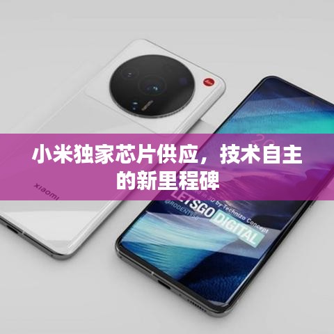 小米独家芯片供应，技术自主的新里程碑