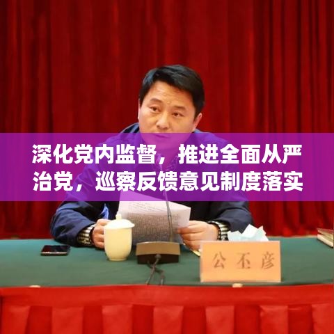 深化党内监督，推进全面从严治党，巡察反馈意见制度落实行动指南