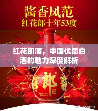 红花郎酒，中国优质白酒的魅力深度解析