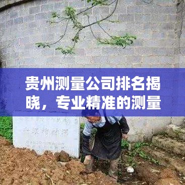贵州测量公司排名揭晓，专业精准的测量服务，哪家公司最领先？