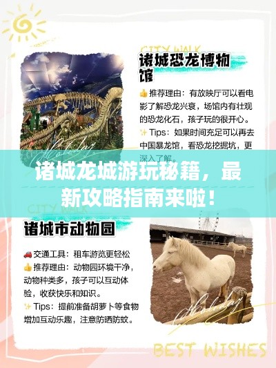 诸城龙城游玩秘籍，最新攻略指南来啦！