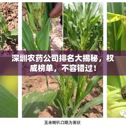 深圳农药公司排名大揭秘，权威榜单，不容错过！