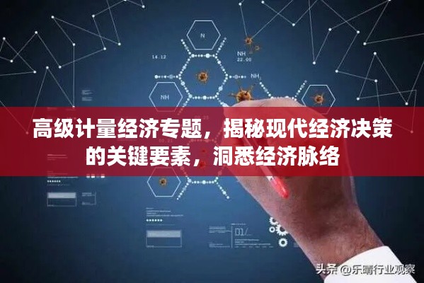 高级计量经济专题，揭秘现代经济决策的关键要素，洞悉经济脉络