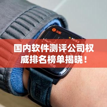 国内软件测评公司权威排名榜单揭晓！