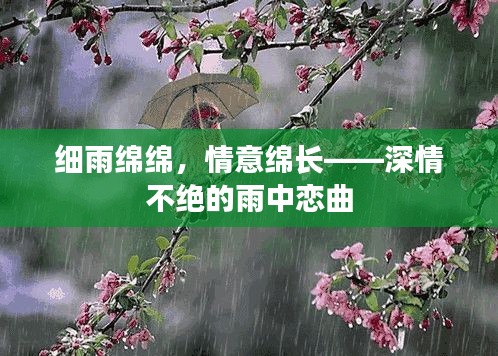 细雨绵绵，情意绵长——深情不绝的雨中恋曲