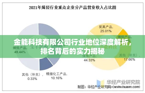 金能科技有限公司行业地位深度解析，排名背后的实力揭秘