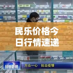 民乐价格今日行情速递