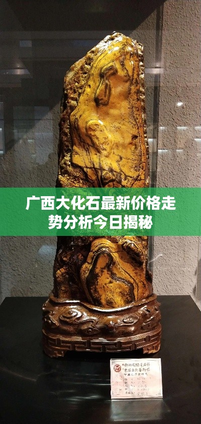 广西大化石最新价格走势分析今日揭秘