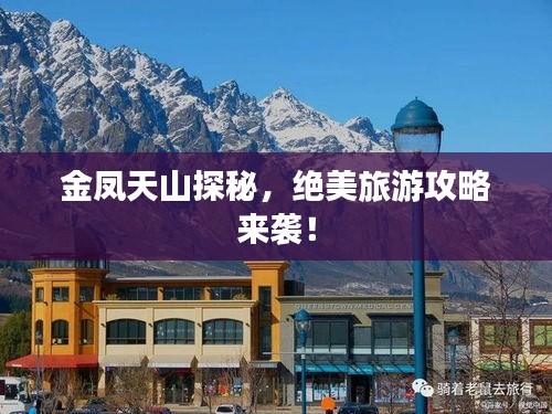 金凤天山探秘，绝美旅游攻略来袭！