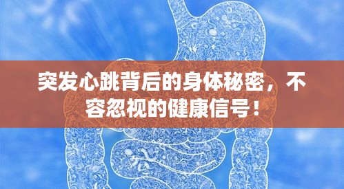突发心跳背后的身体秘密，不容忽视的健康信号！