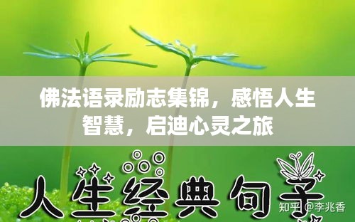 佛法语录励志集锦，感悟人生智慧，启迪心灵之旅