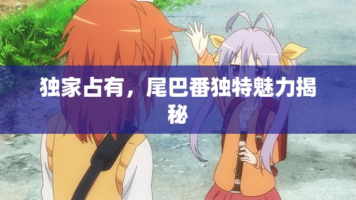 独家占有，尾巴番独特魅力揭秘