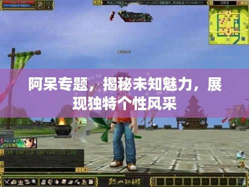 阿呆专题，揭秘未知魅力，展现独特个性风采