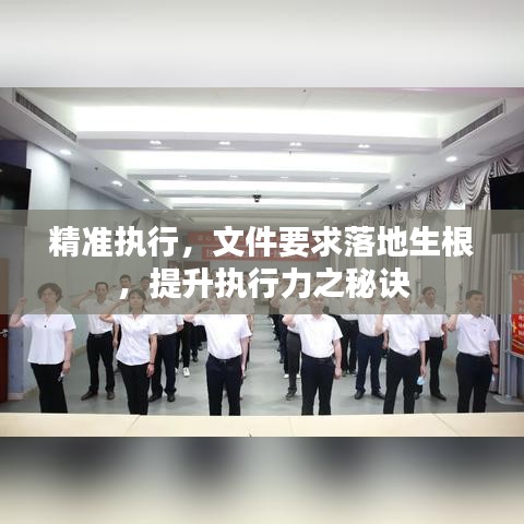 精准执行，文件要求落地生根，提升执行力之秘诀