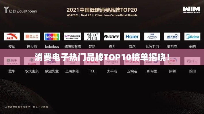 消费电子热门品牌TOP10榜单揭晓！