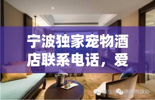 宁波独家宠物酒店联系电话，爱宠温馨住宿首选！