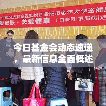 今日基金会动态速递，最新信息全面概述