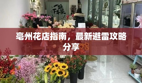 亳州花店指南，最新避雷攻略分享