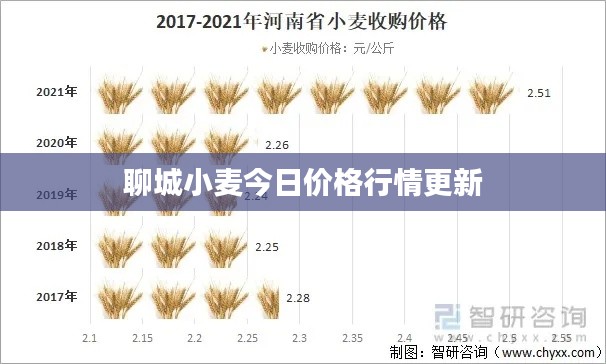 聊城小麦今日价格行情更新
