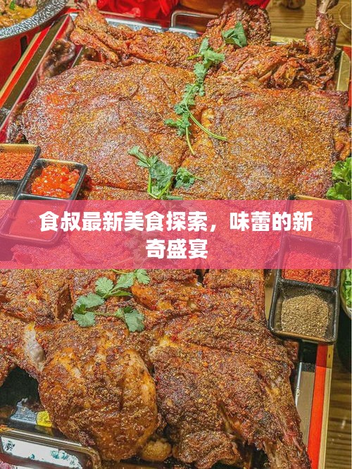 食叔最新美食探索，味蕾的新奇盛宴