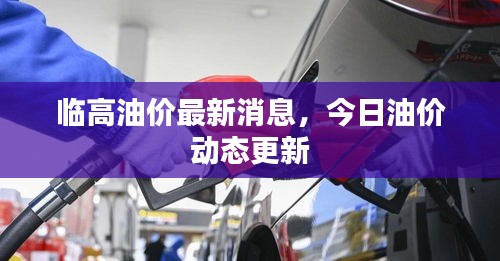 临高油价最新消息，今日油价动态更新