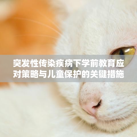 突发性传染疾病下学前教育应对策略与儿童保护的关键措施