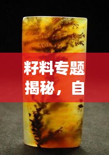 籽料专题揭秘，自然瑰宝的魅力之旅