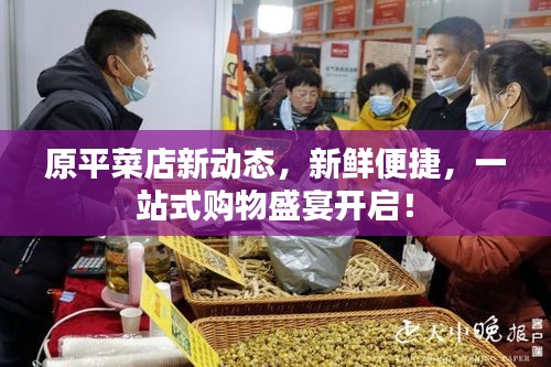 原平菜店新动态，新鲜便捷，一站式购物盛宴开启！