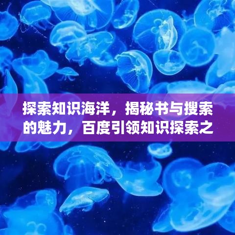 探索知识海洋，揭秘书与搜索的魅力，百度引领知识探索之旅