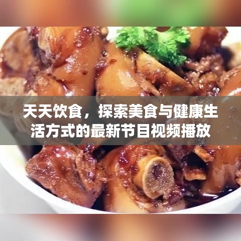 天天饮食，探索美食与健康生活方式的最新节目视频播放