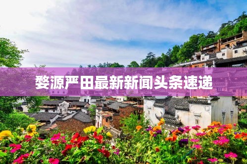 婺源严田最新新闻头条速递
